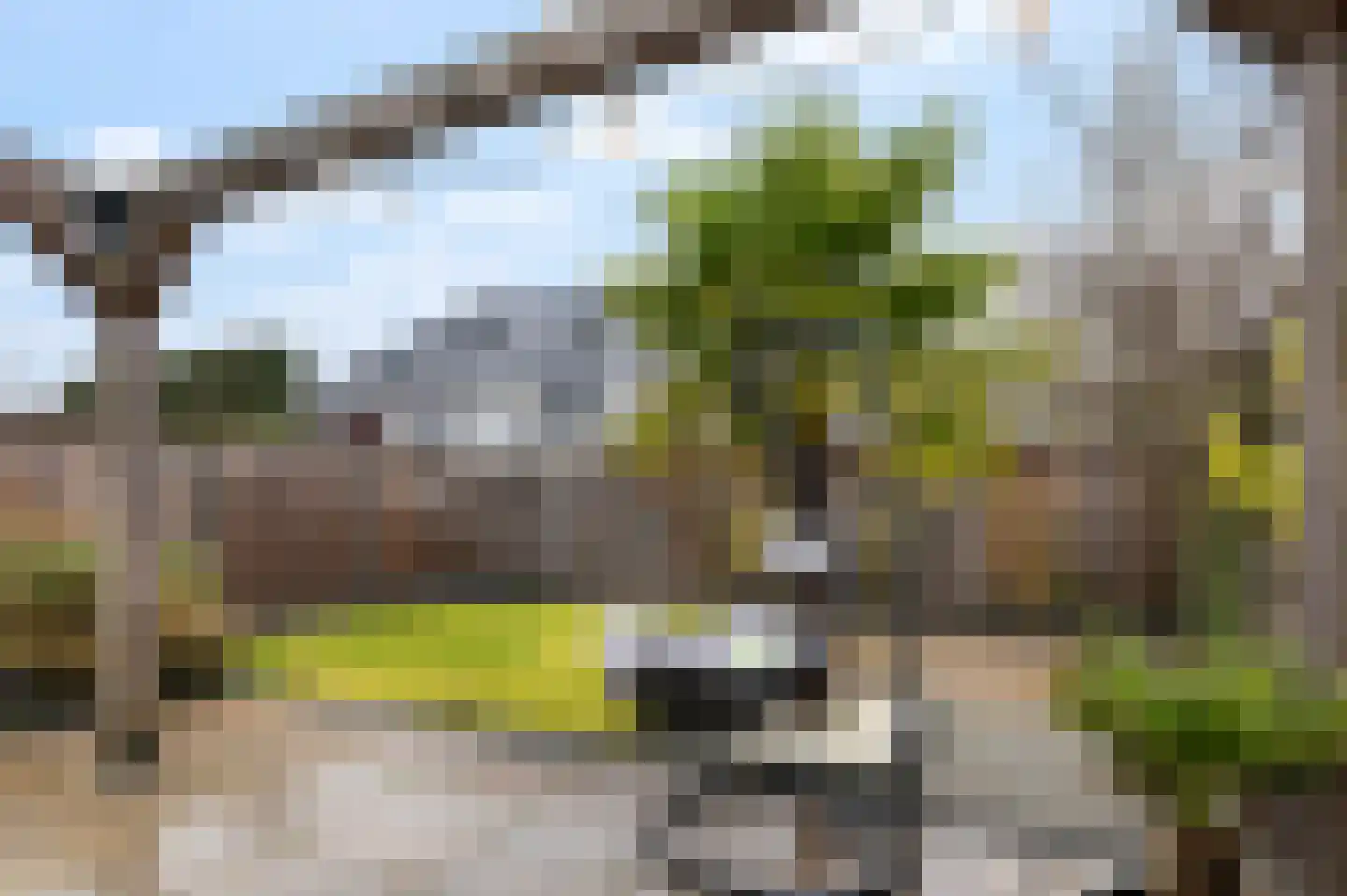 Kolk 5 Borne thumbnail 25