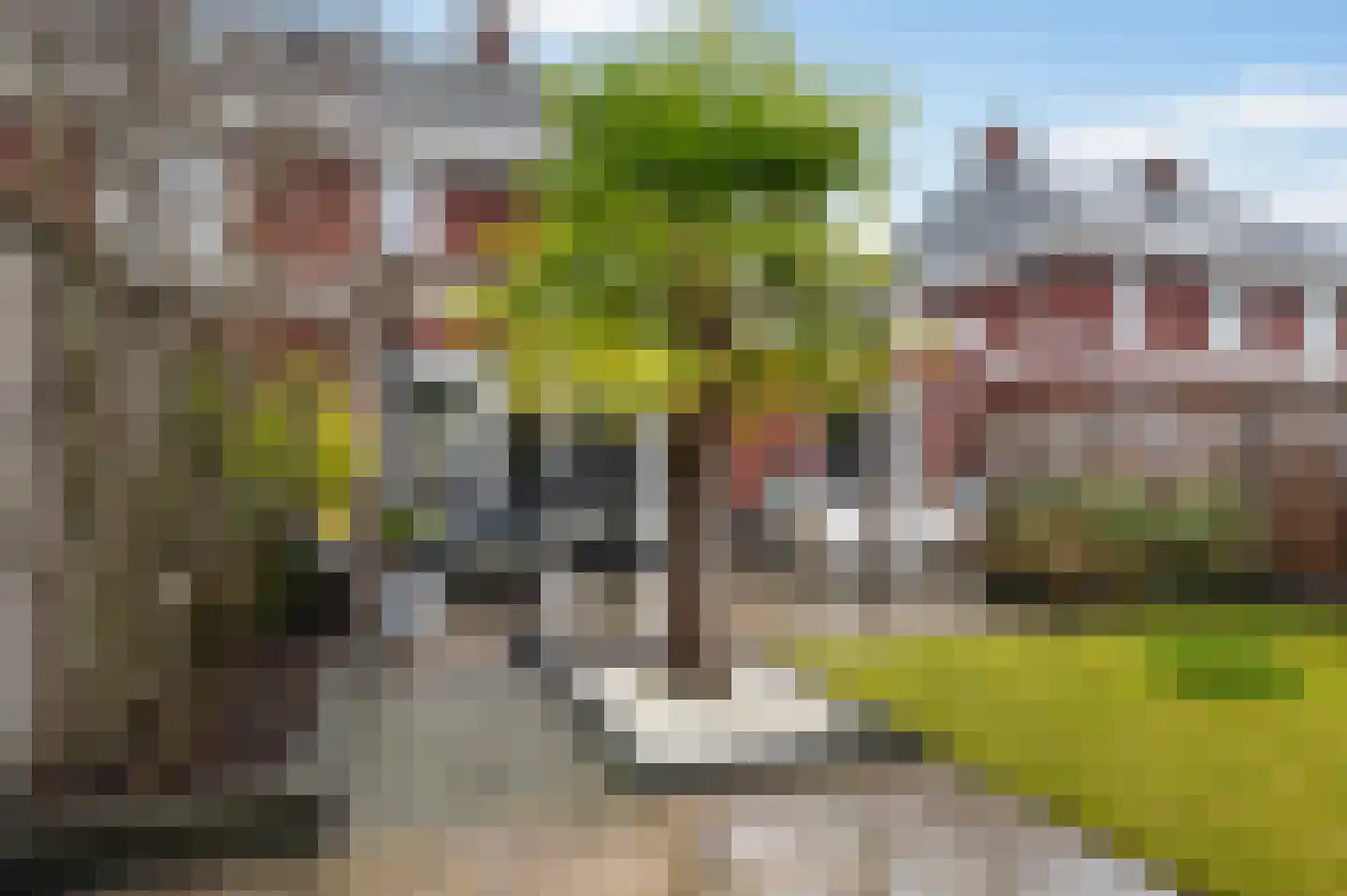 Kolk 5 Borne thumbnail 4