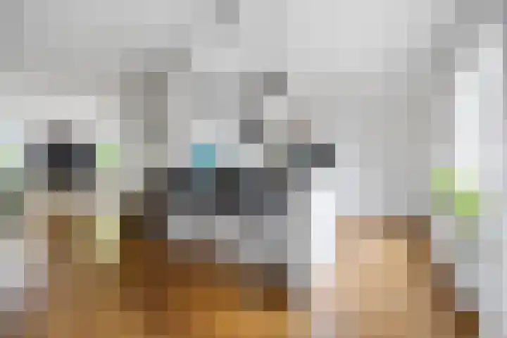 Kolk 62 Huissen thumbnail 10