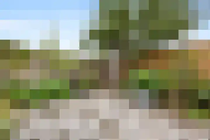 Kolk 62 Huissen thumbnail 24