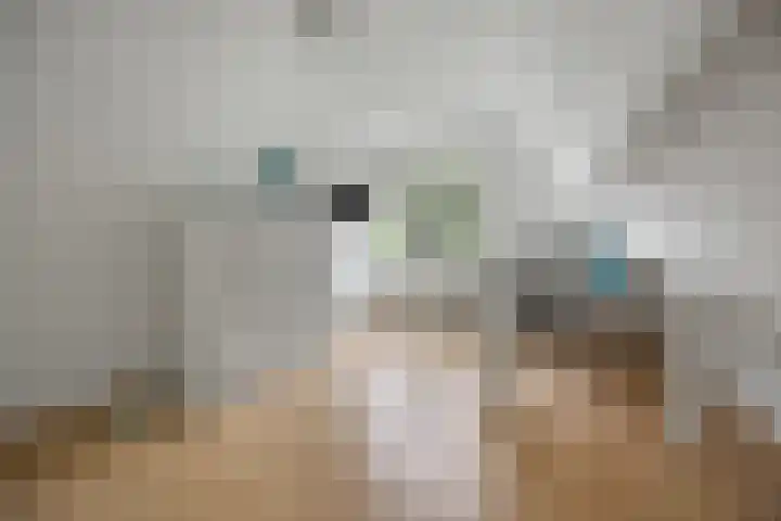 Kolk 62 Huissen thumbnail 29