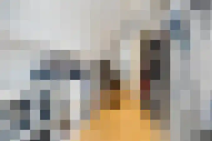 Kolk 62 Huissen thumbnail 38