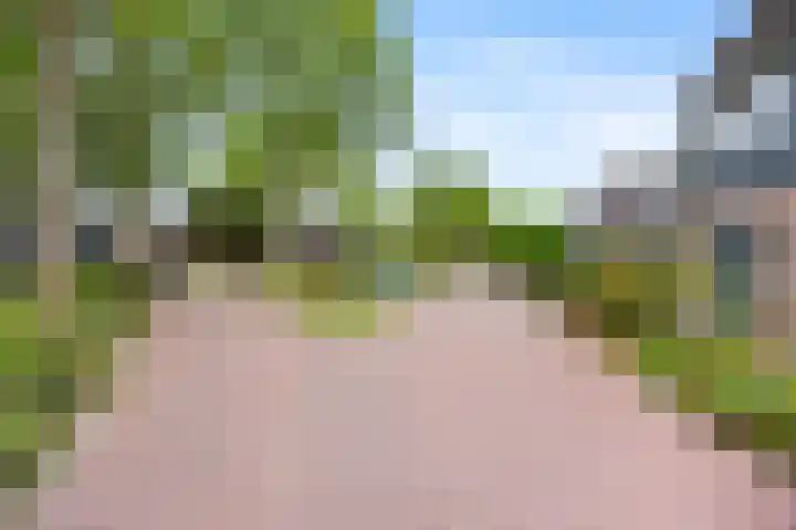 Kolk 62 Huissen thumbnail 43