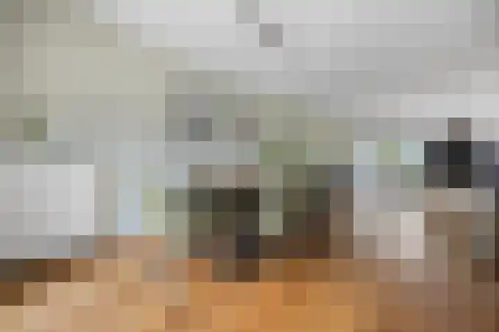 Kolk 62 Huissen thumbnail 9