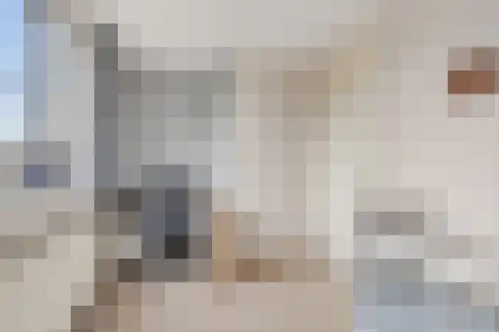 Kolk 73 Huissen thumbnail 12