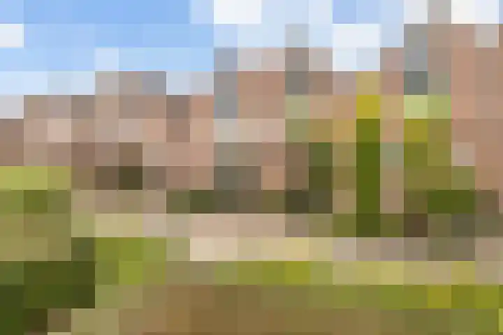 Kolk 73 Huissen thumbnail 20