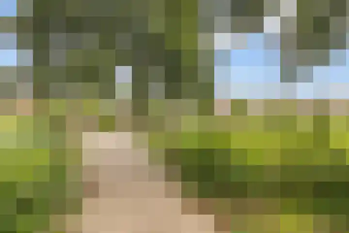 Kolk 73 Huissen thumbnail 21