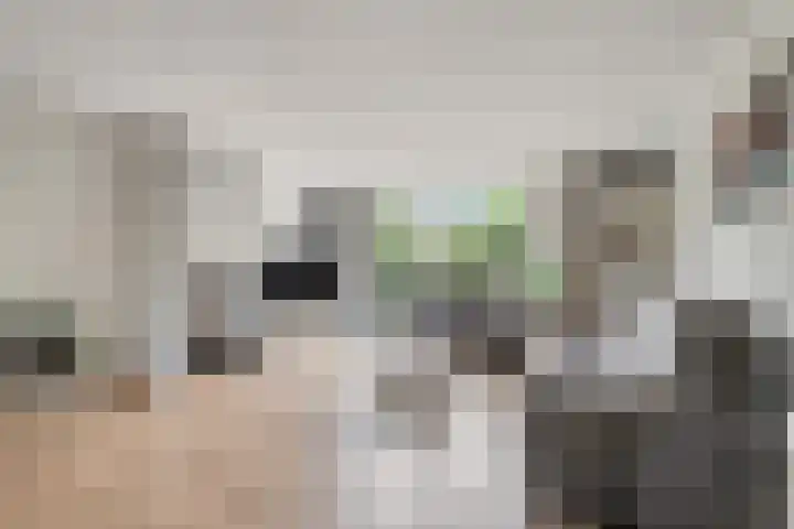 Kolk 73 Huissen thumbnail 4