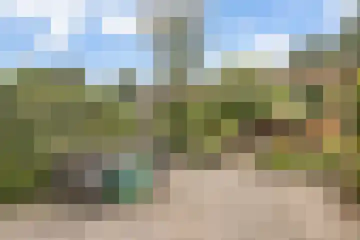 Kolk 73 Huissen thumbnail 5