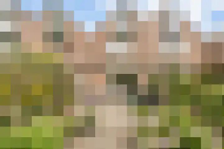 Kolk 73 Huissen thumbnail 6