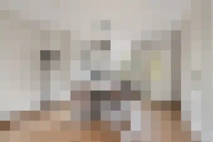 Kolk 73 Huissen thumbnail 7