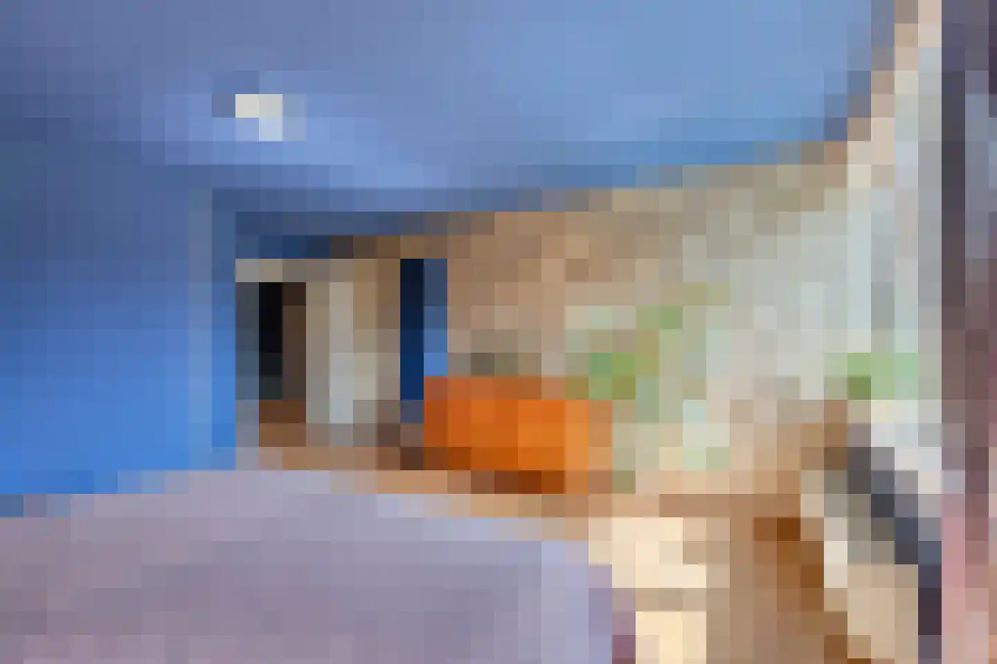 Kolk 83 Huissen thumbnail 26