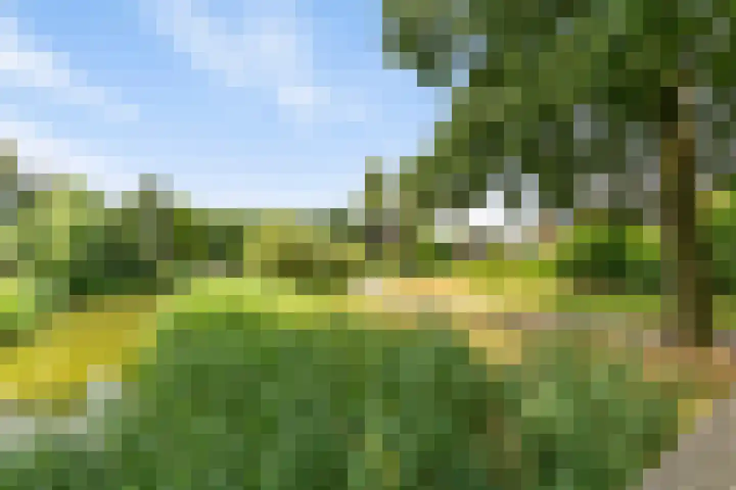 Kolk 83 Huissen thumbnail 34