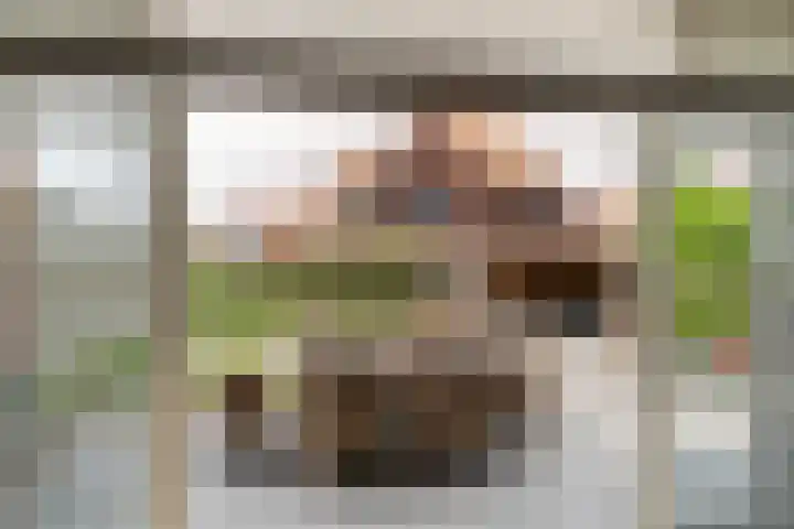 Kolk 9 Poeldijk thumbnail 13