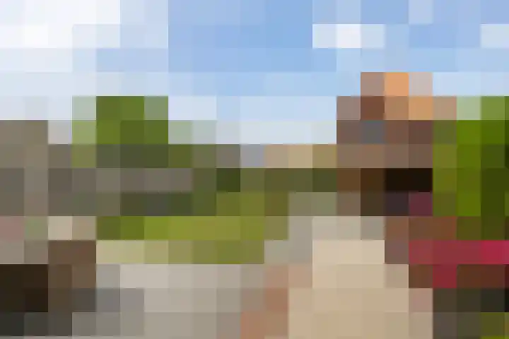 Kolk 9 Poeldijk thumbnail 15