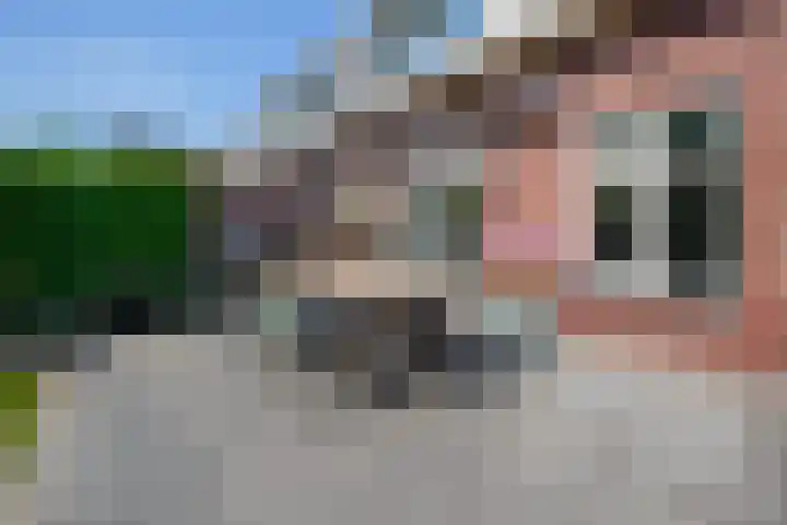 Kolkakker 19 Wehl thumbnail 15