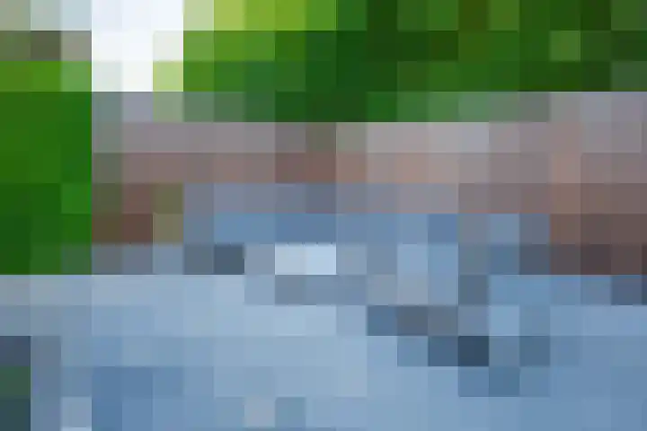 Kolkakker 19 Wehl thumbnail 16