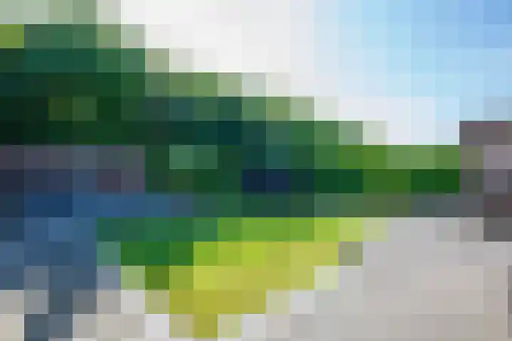Kolkakker 19 Wehl thumbnail 17