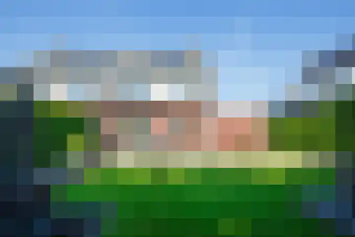 Kolkakker 19 Wehl thumbnail 18