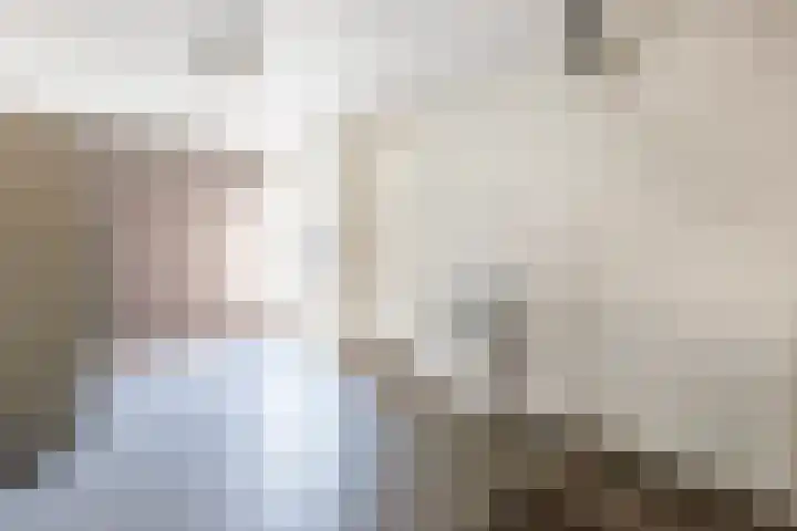 Kolkakker 19 Wehl thumbnail 20