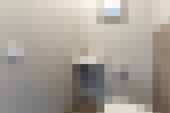 Kolkakker 19 Wehl thumbnail 24