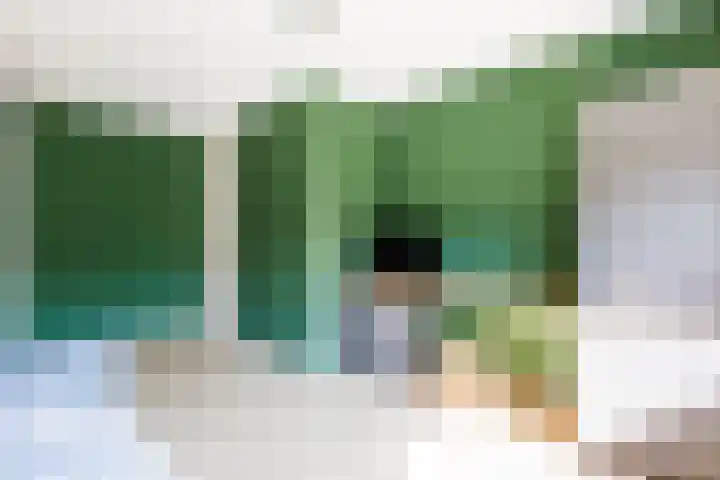 Kolkakker 19 Wehl thumbnail 29