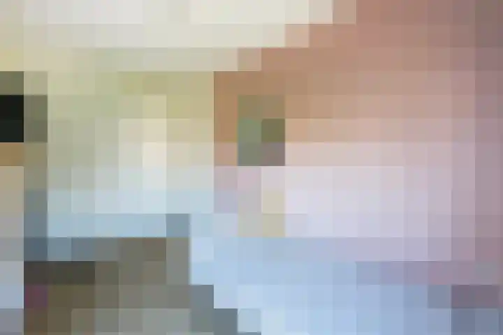 Kolkakker 19 Wehl thumbnail 31