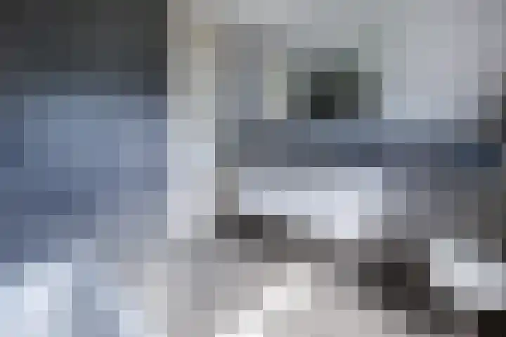 Kolkakker 19 Wehl thumbnail 33
