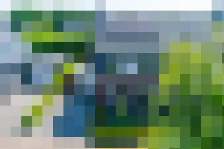 Kolkakker 19 Wehl thumbnail 39