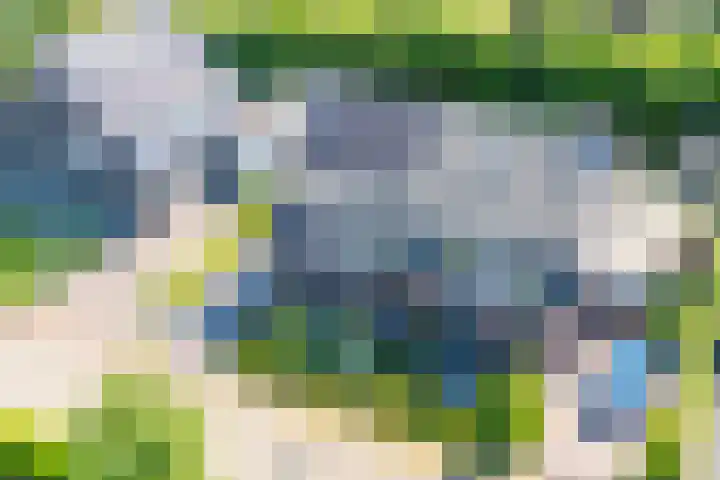 Kolkakker 19 Wehl thumbnail 42