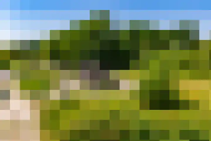 Kolkakker 19 Wehl thumbnail 44