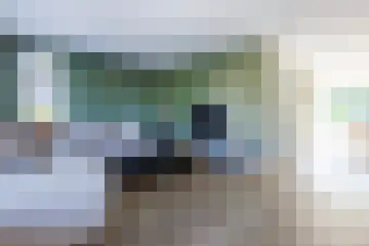 Kolkakker 19 Wehl thumbnail 7
