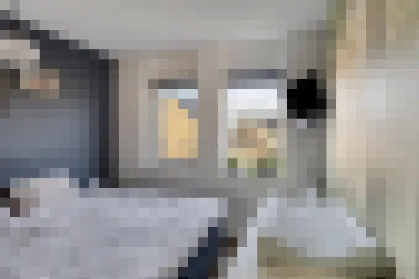 Kolkakkerlaan 58 Zutphen thumbnail 18
