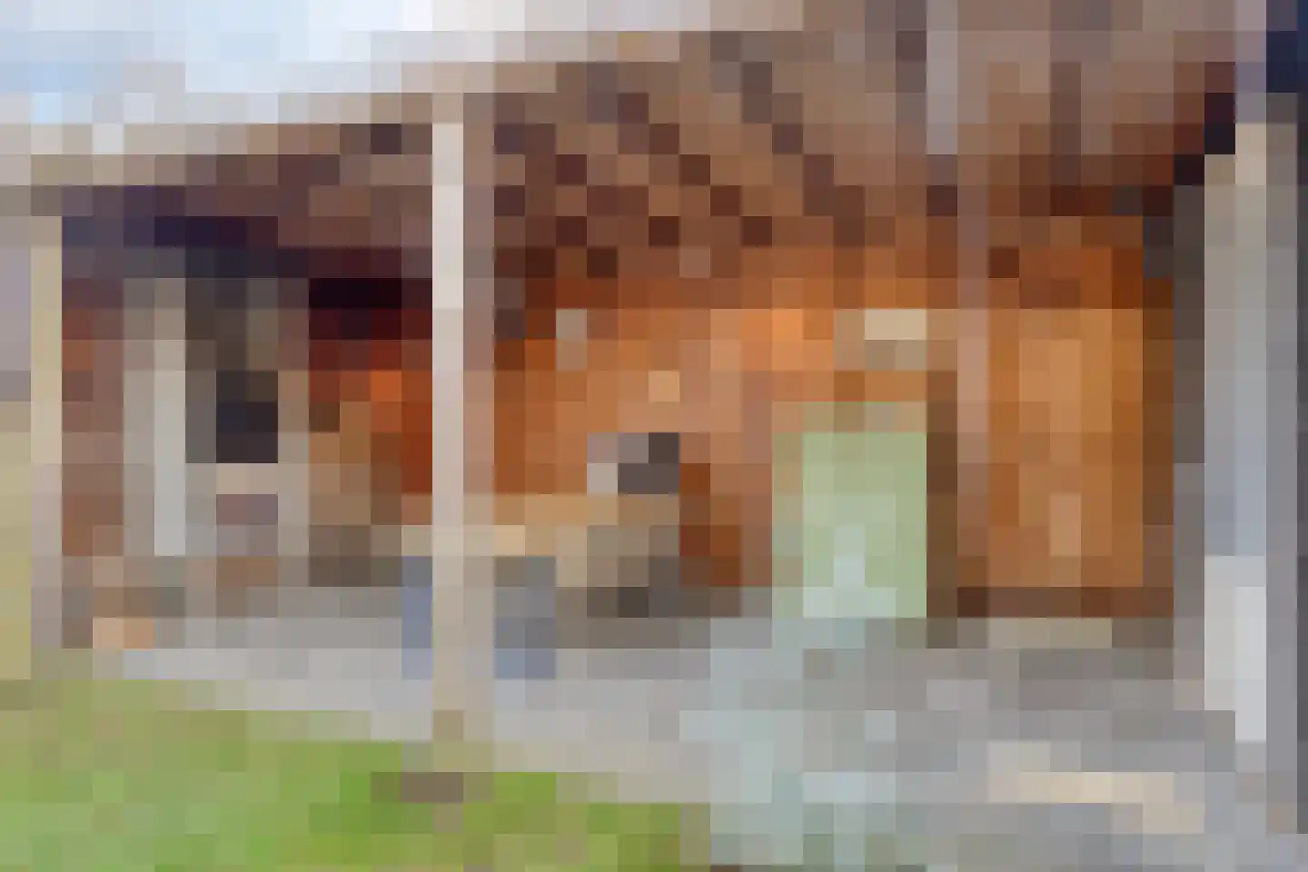 Kolkakkerlaan 58 Zutphen thumbnail 35