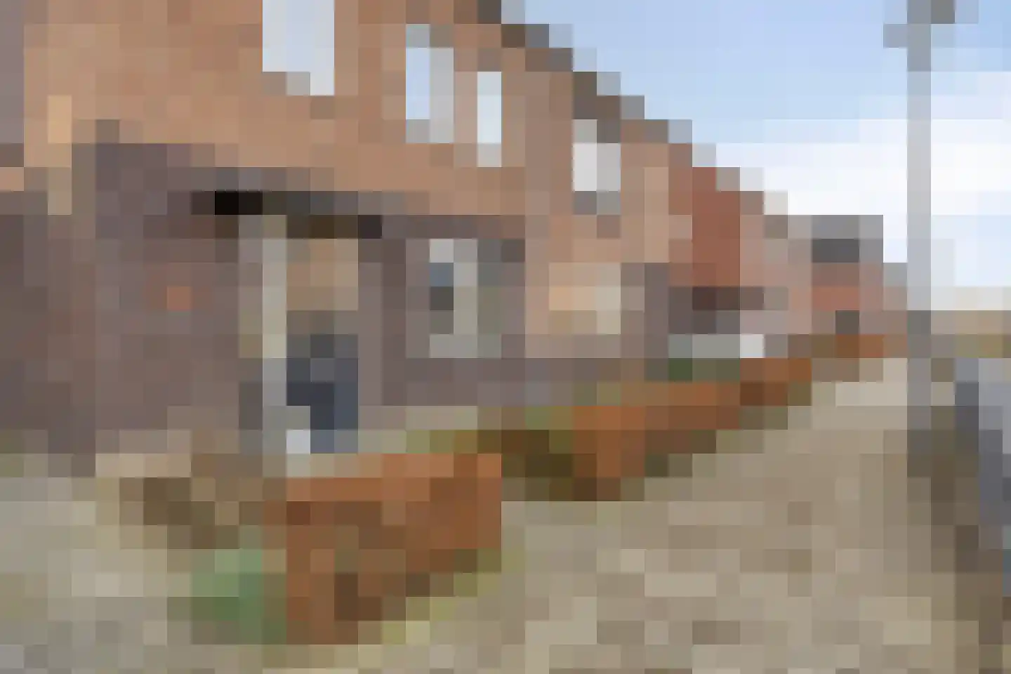 Kolkakkerlaan 58 Zutphen thumbnail 45