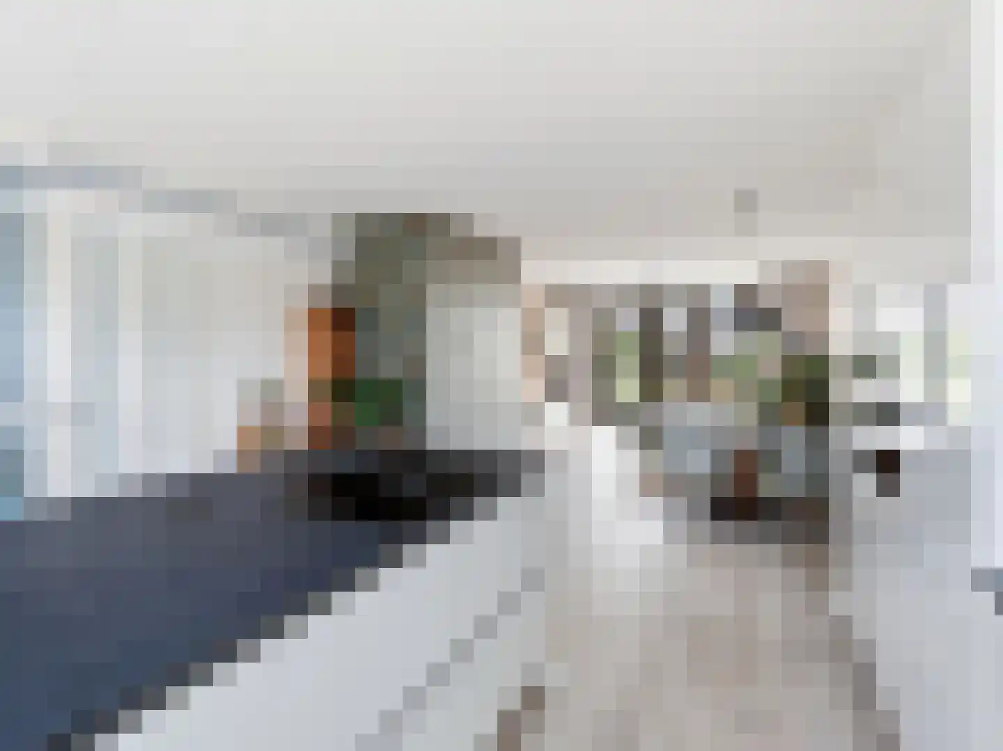 Kolkakkerlaan 8 Zutphen thumbnail 12