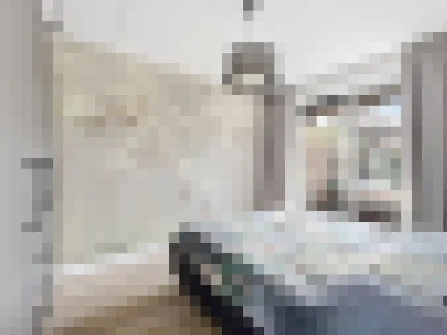 Kolkakkerlaan 8 Zutphen thumbnail 14