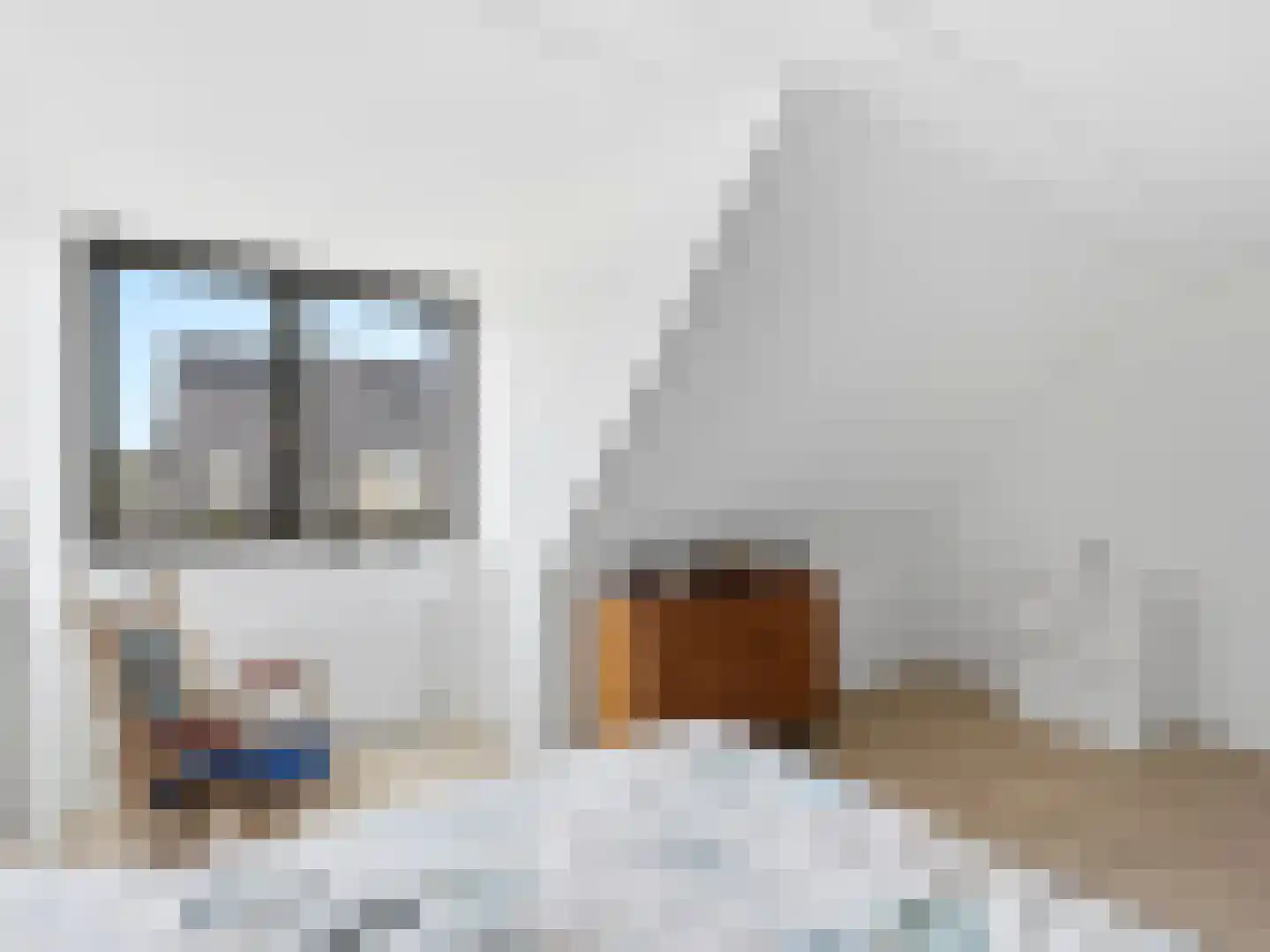 Kolkakkerlaan 8 Zutphen thumbnail 23