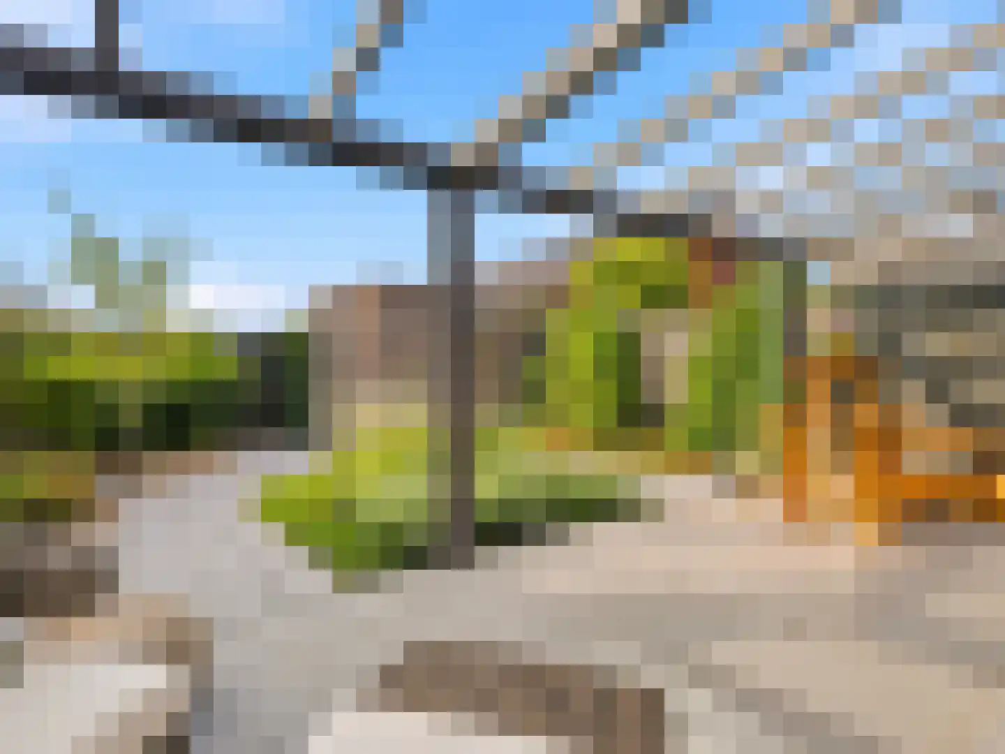 Kolkakkerlaan 8 Zutphen thumbnail 27