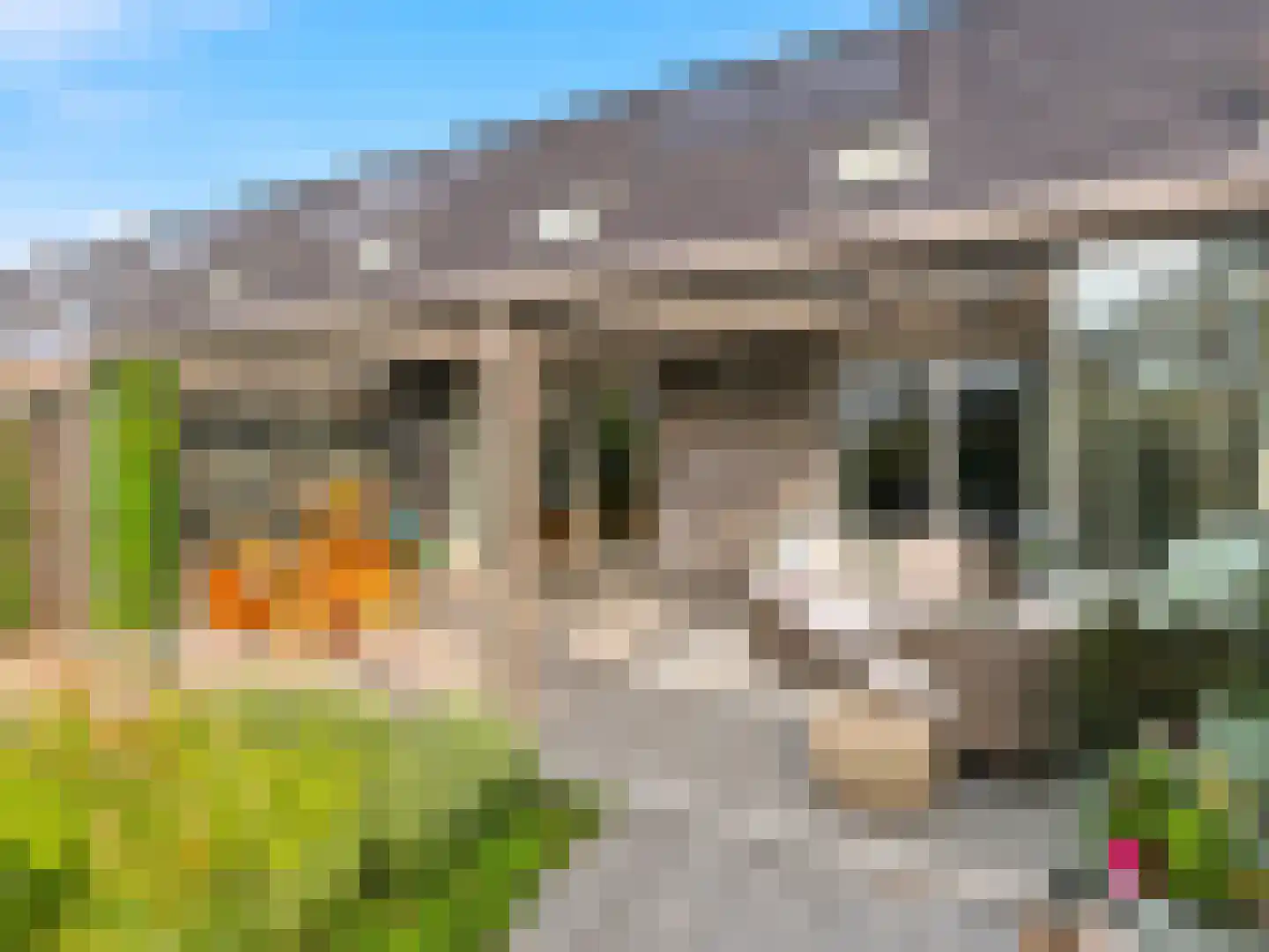 Kolkakkerlaan 8 Zutphen thumbnail 28