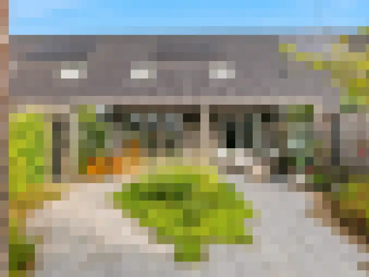 Kolkakkerlaan 8 Zutphen thumbnail 29