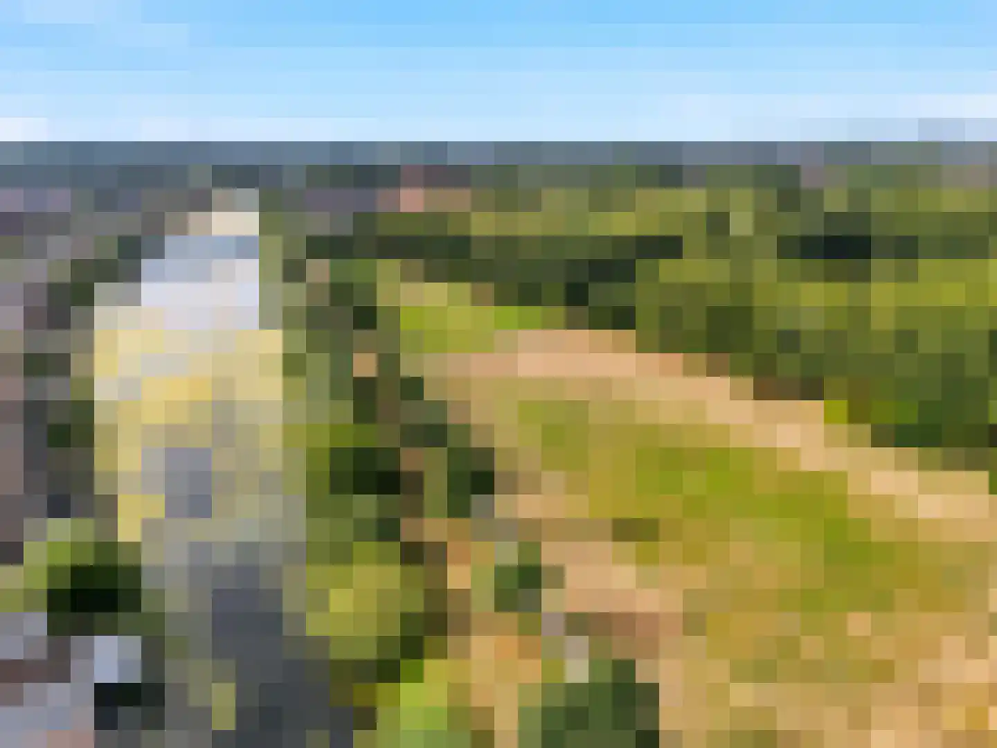 Kolkakkerlaan 8 Zutphen thumbnail 35