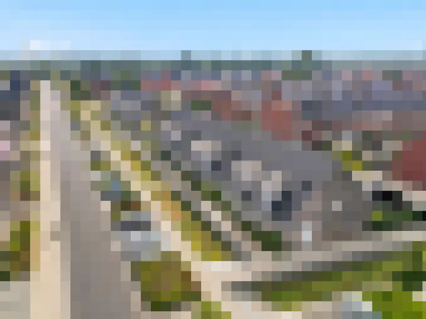 Kolkakkerlaan 8 Zutphen thumbnail 36