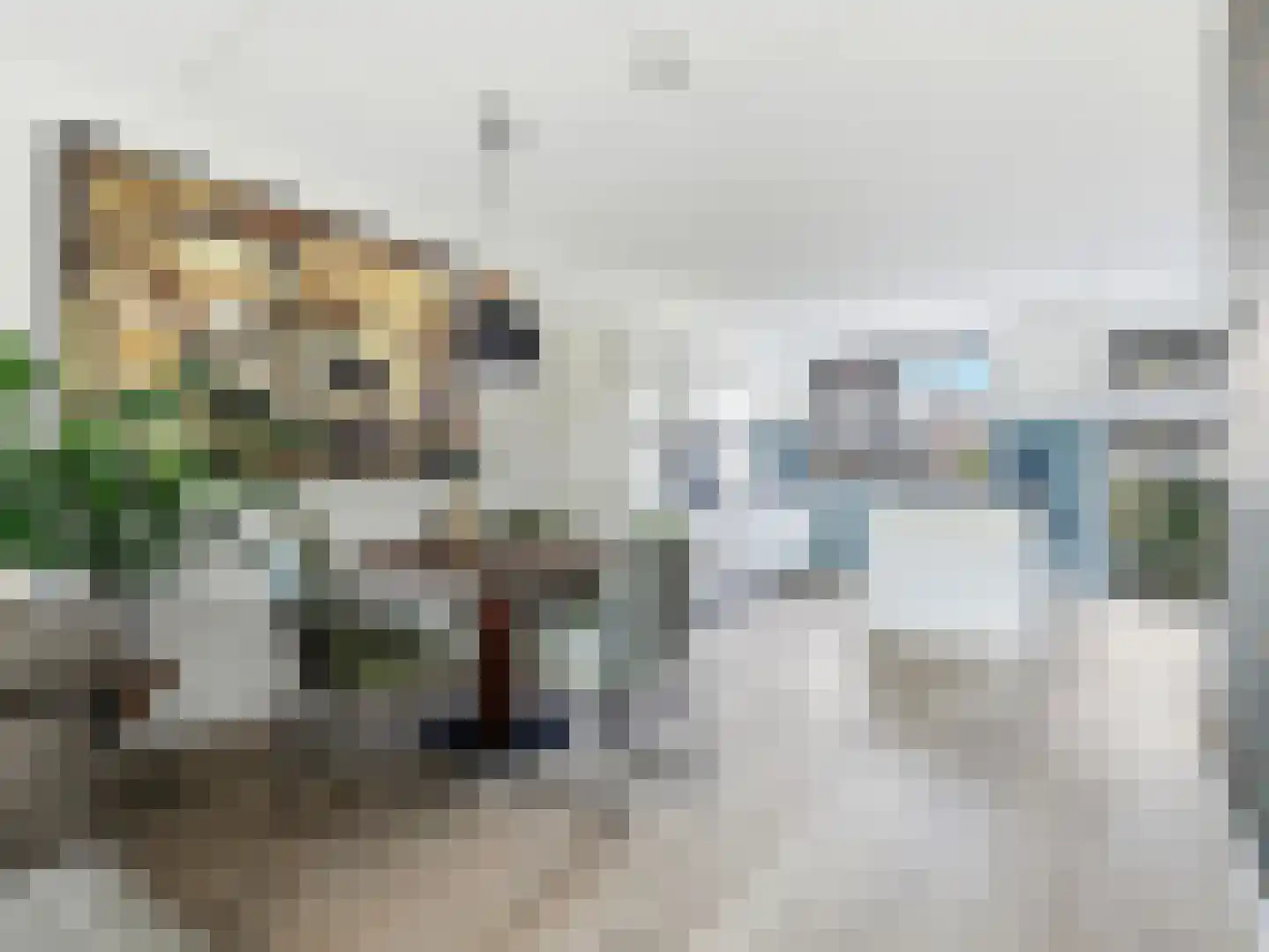 Kolkakkerlaan 8 Zutphen thumbnail 7
