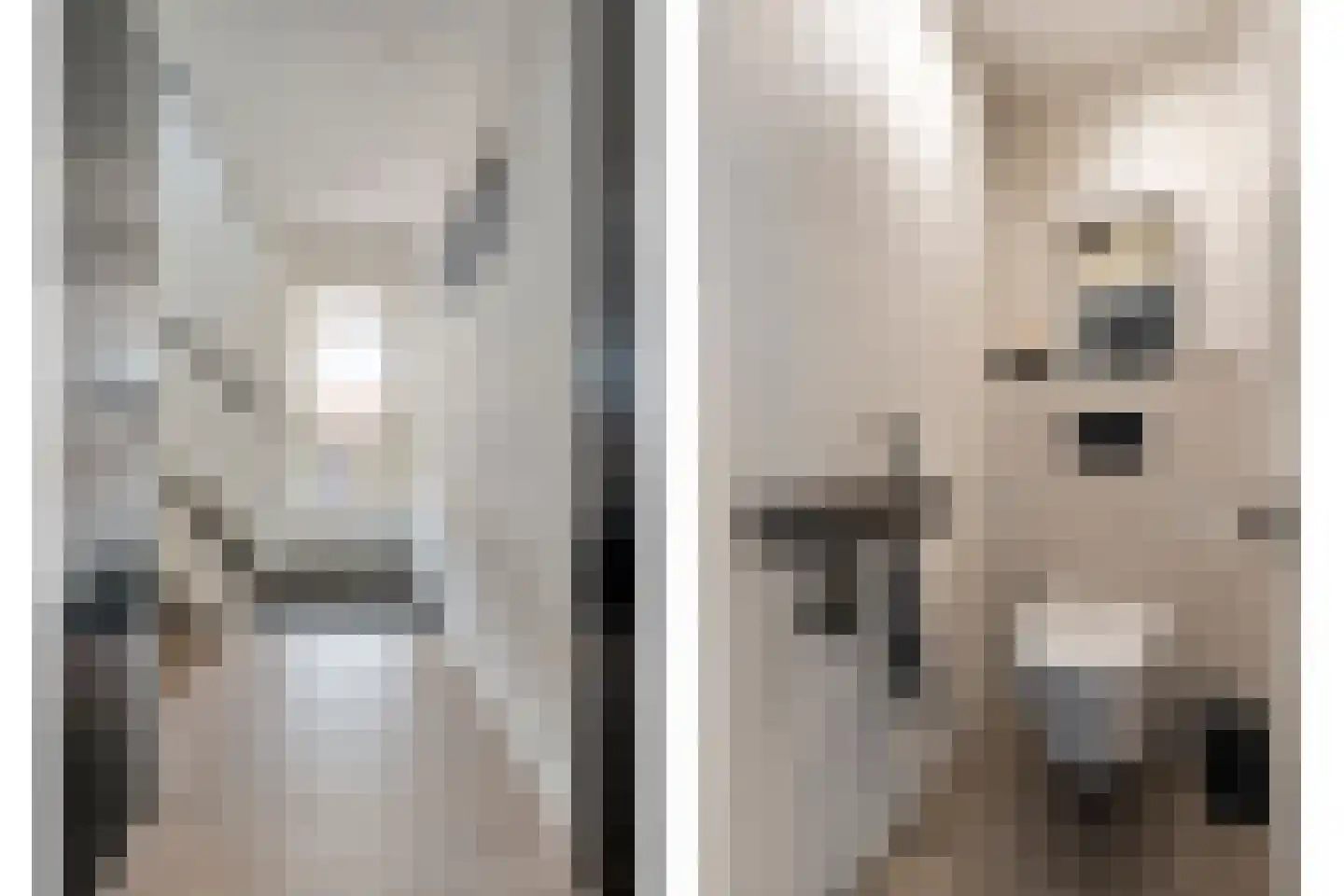 Kolkakkers 19 Dalen thumbnail 10