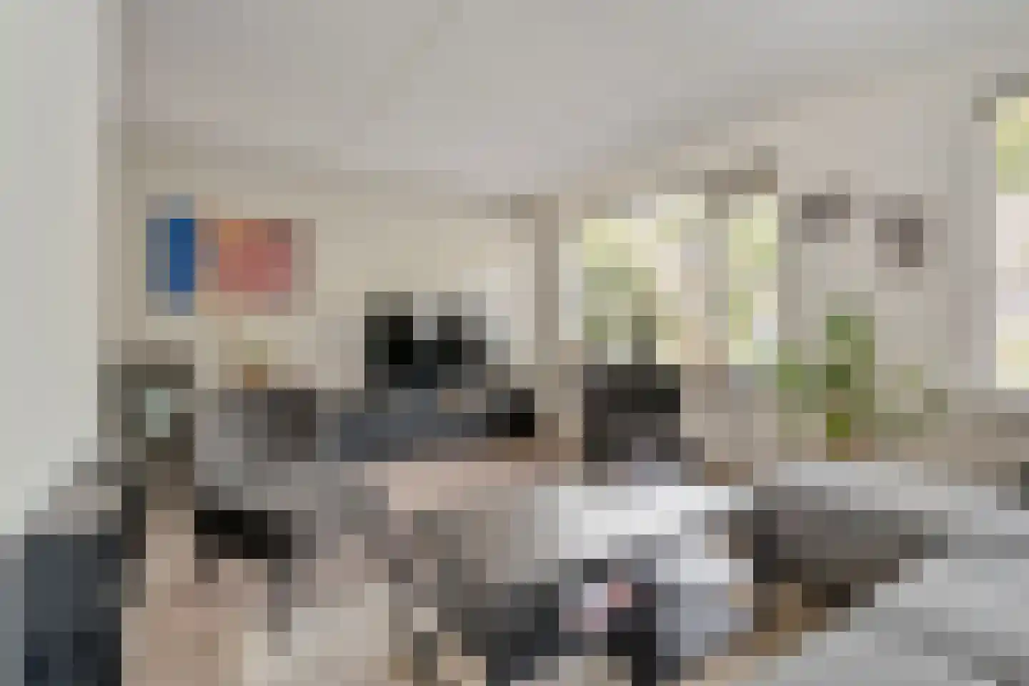 Kolkakkers 19 Dalen thumbnail 14
