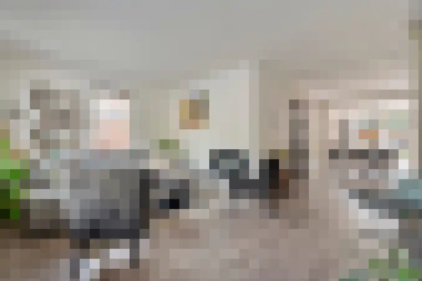 Kolkakkers 19 Dalen thumbnail 15
