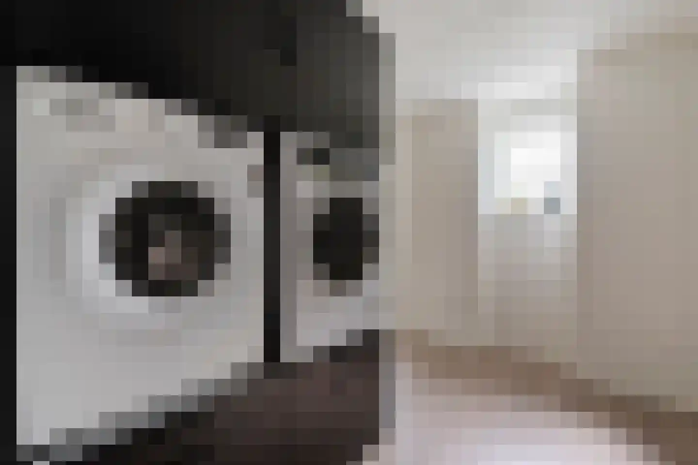 Kolkakkers 19 Dalen thumbnail 22
