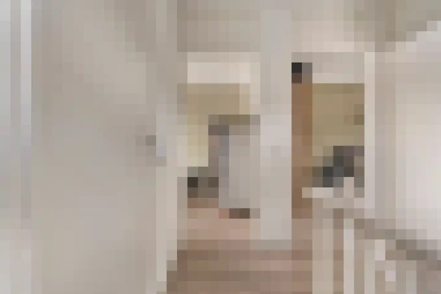 Kolkakkers 19 Dalen thumbnail 27