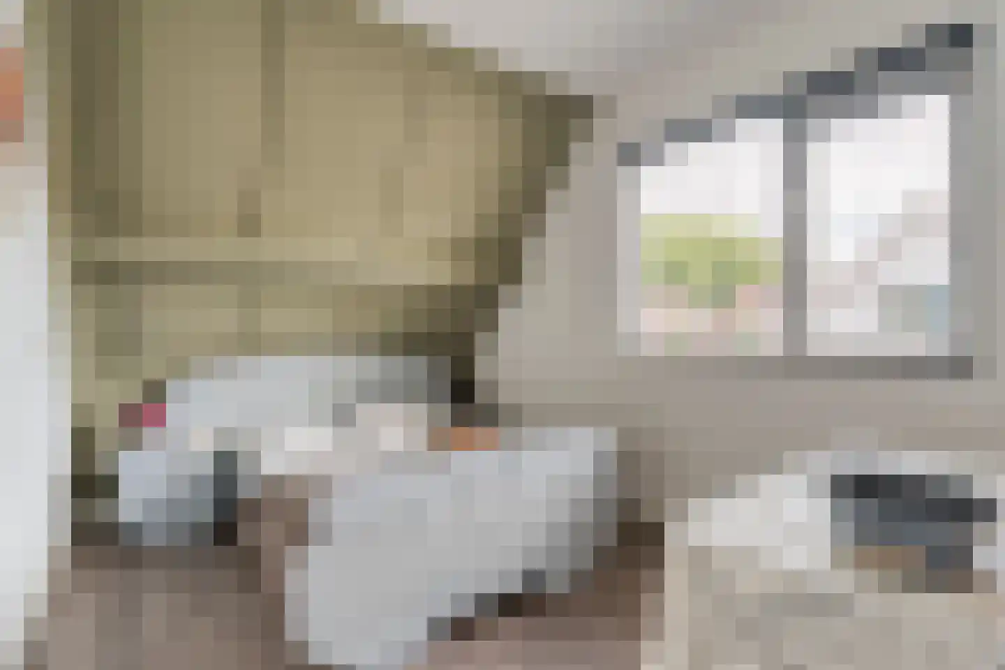 Kolkakkers 19 Dalen thumbnail 28